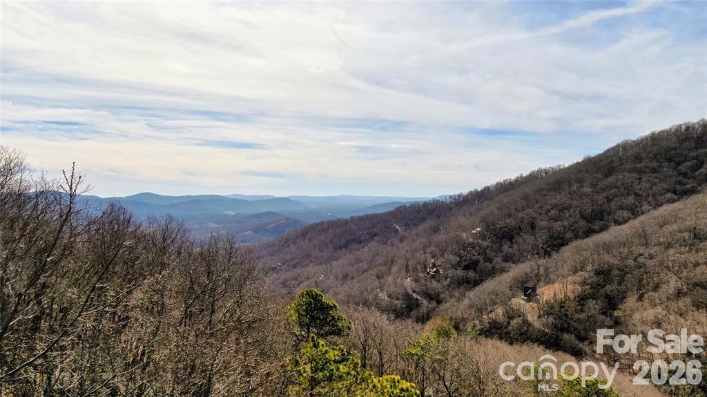 99999 Red Oak Forest Road 1418 Property Photo 20