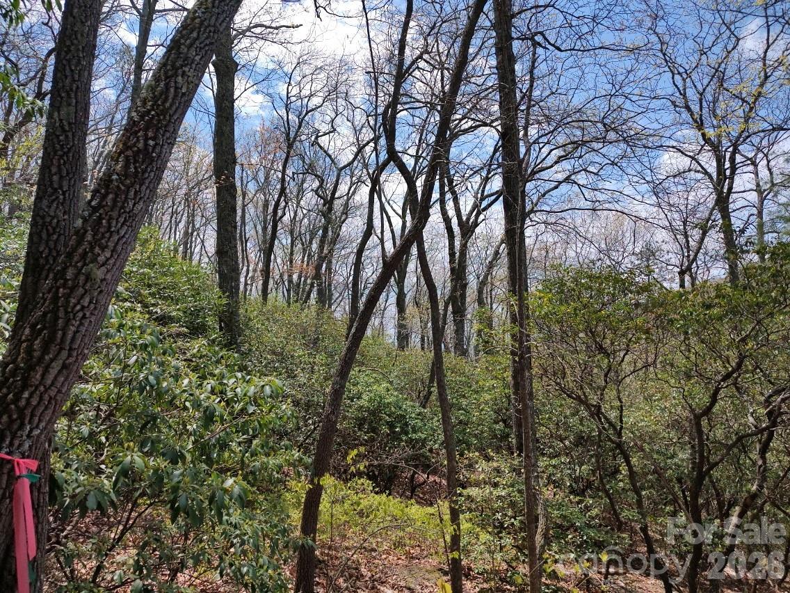 99999 Red Oak Forest Road 1418 Property Photo 21
