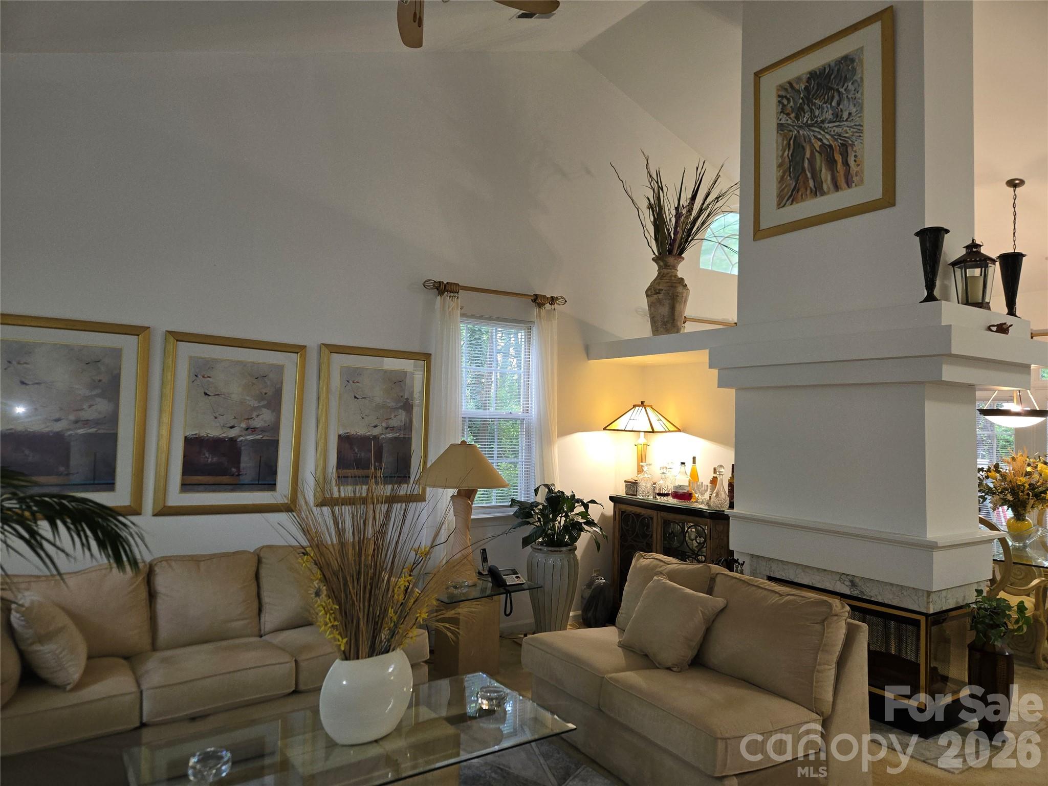 6313 Lily Pad Court Property Photo 2