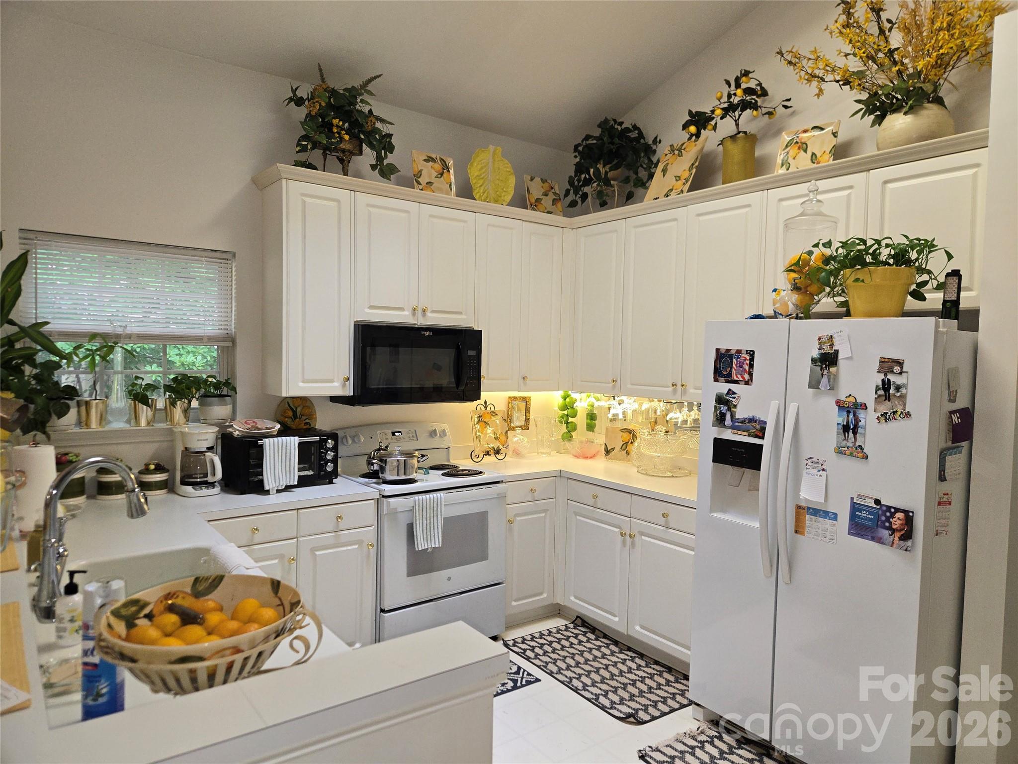 6313 Lily Pad Court Property Photo 3