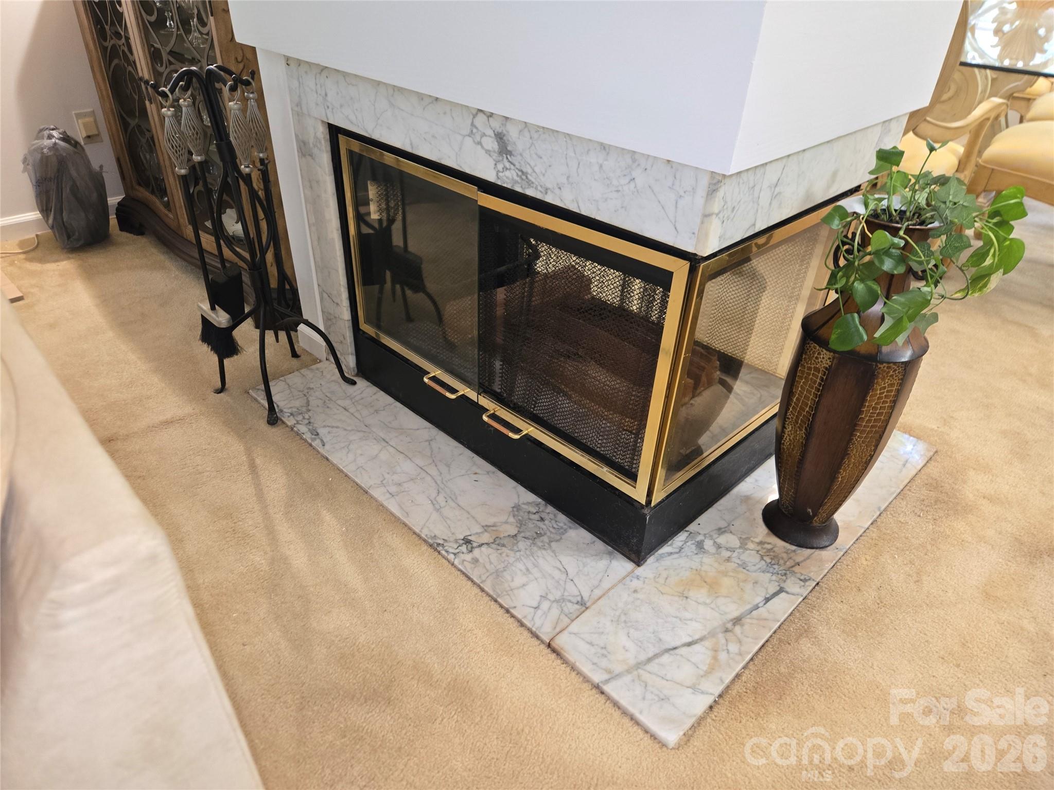 6313 Lily Pad Court Property Photo 4