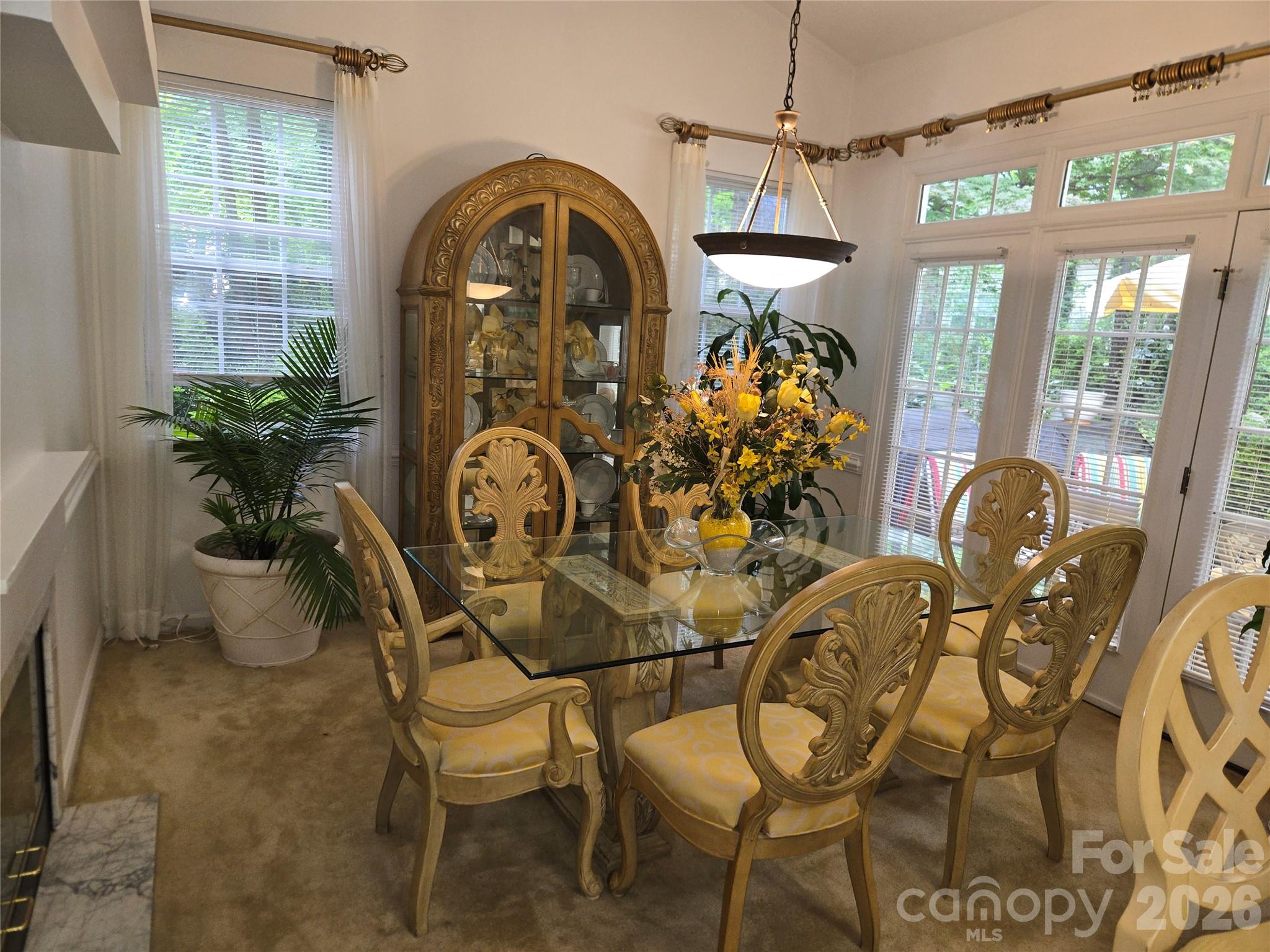 6313 Lily Pad Court Property Photo 5