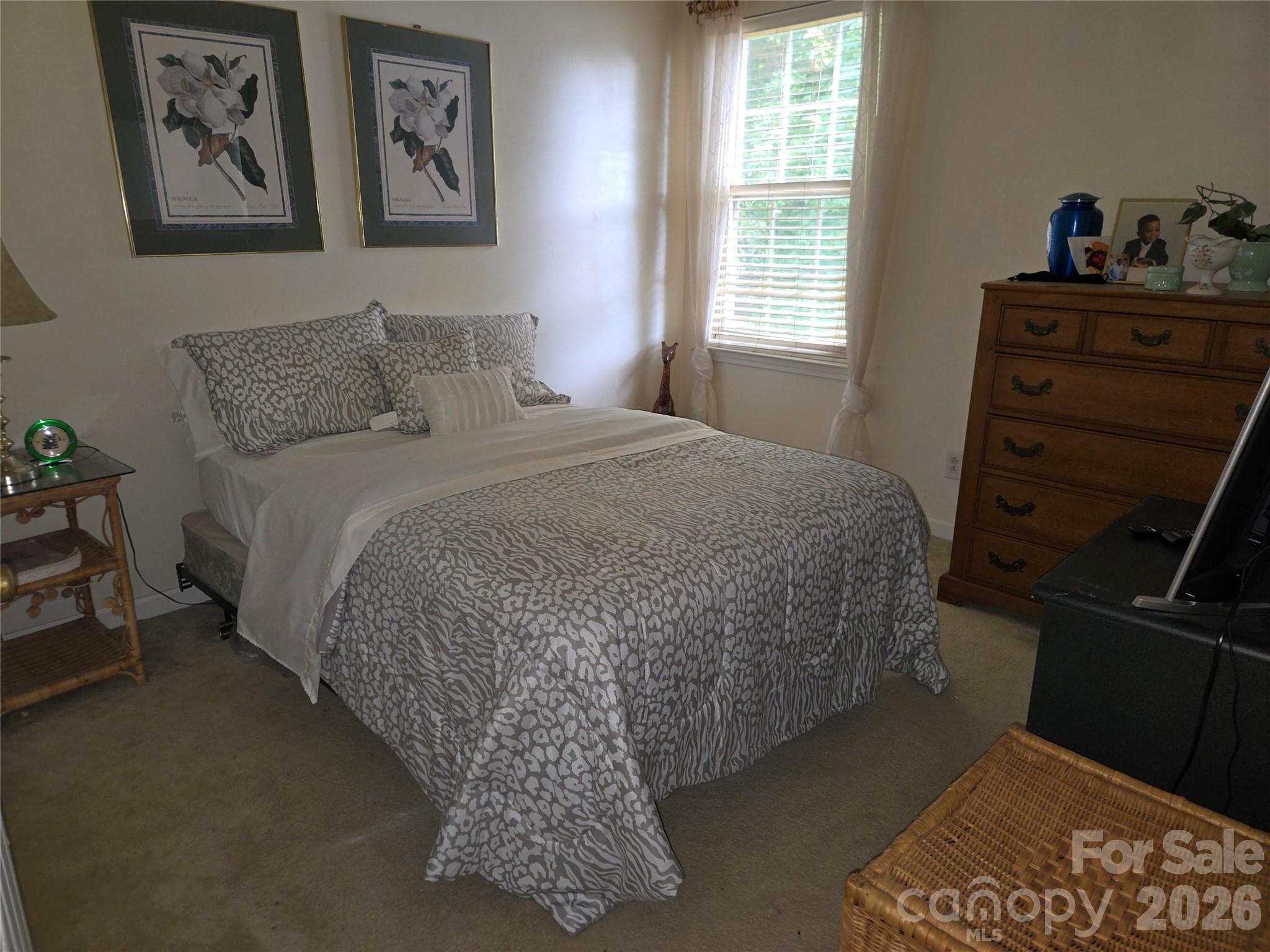 6313 Lily Pad Court Property Photo 7