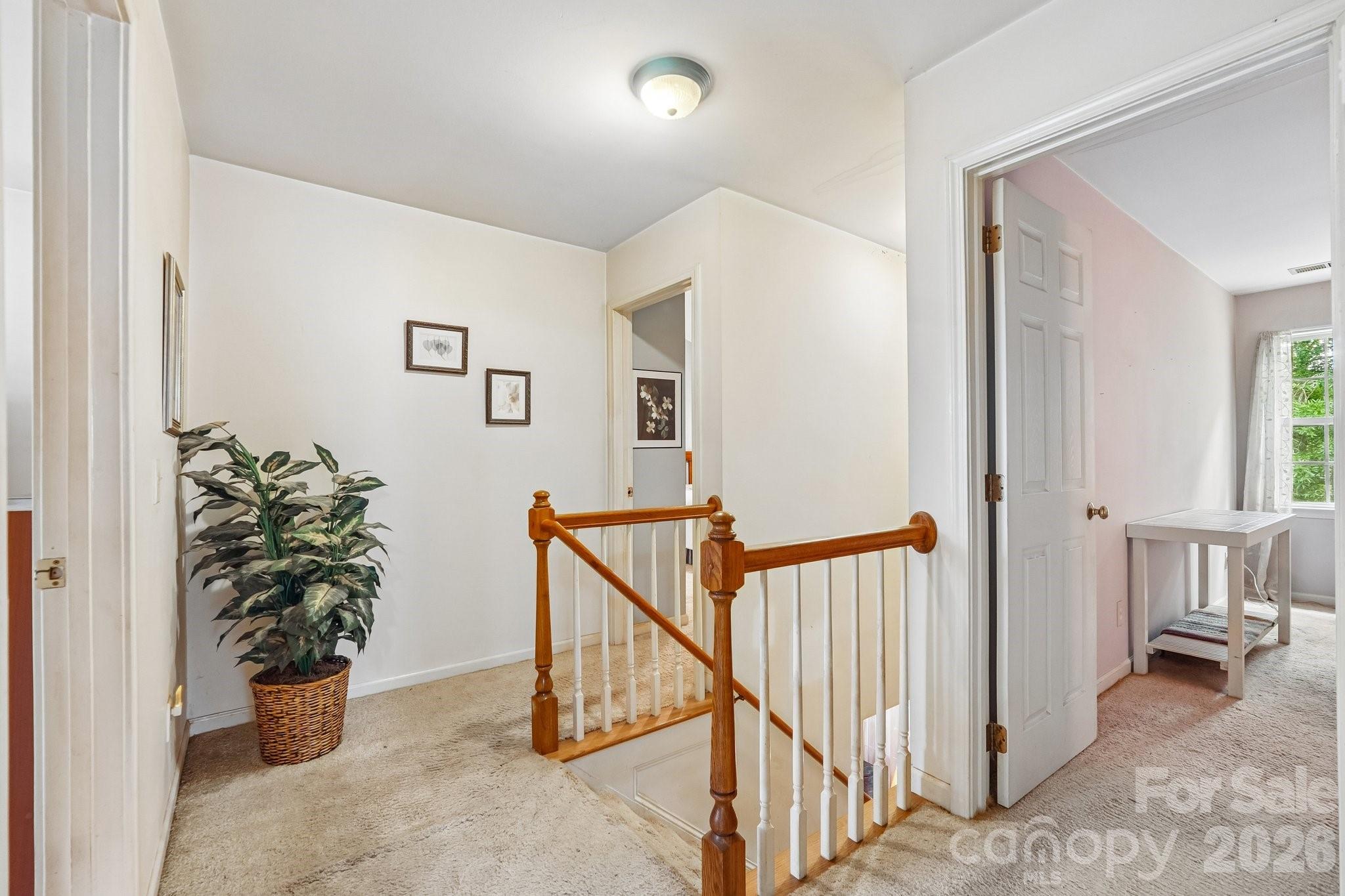 3429 Turtle Cross Lane Property Photo 15