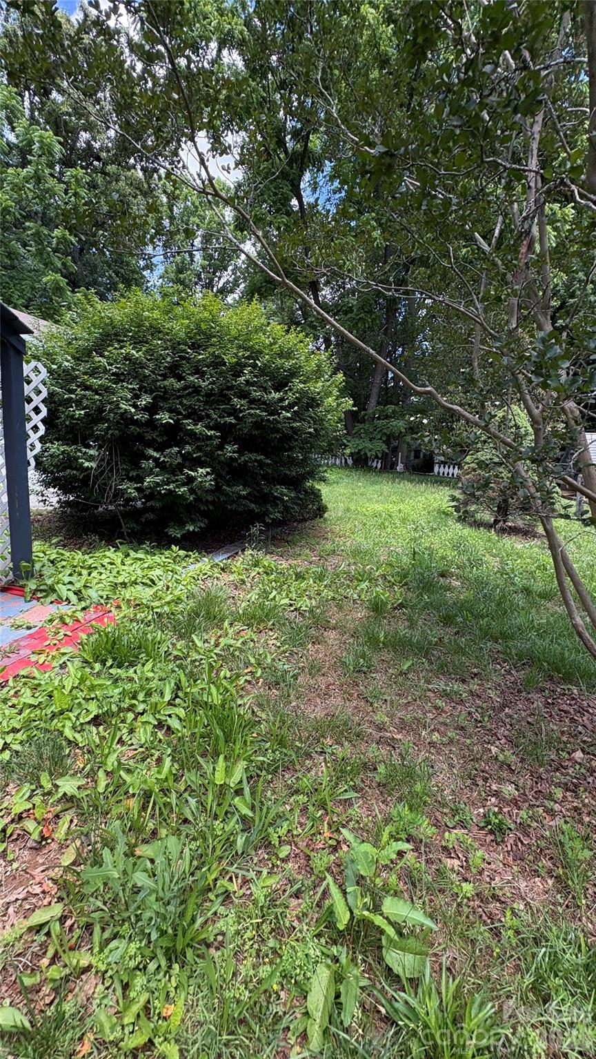 132 Haynes Street Property Photo 38