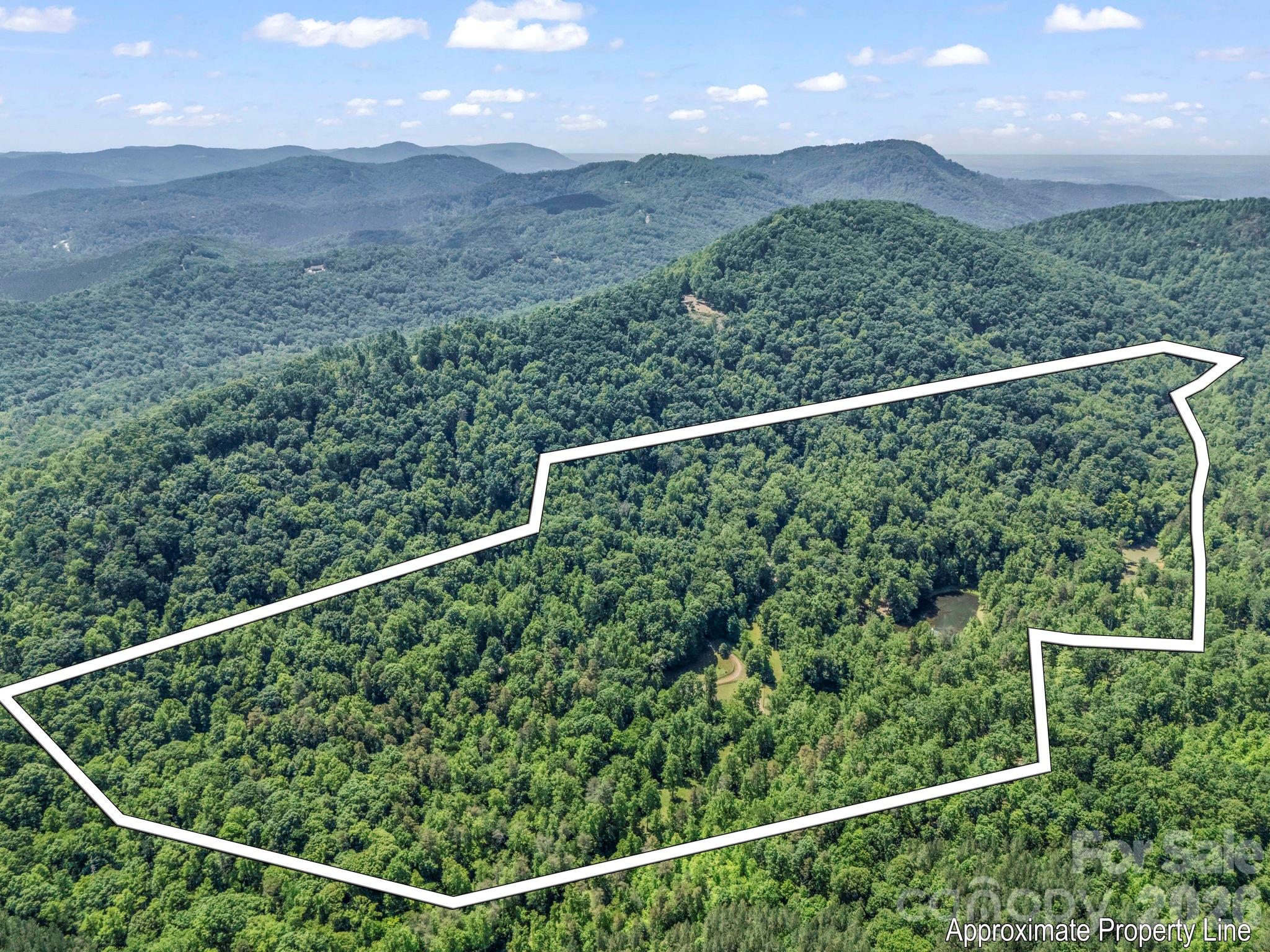 980 Mountain Forest Drive