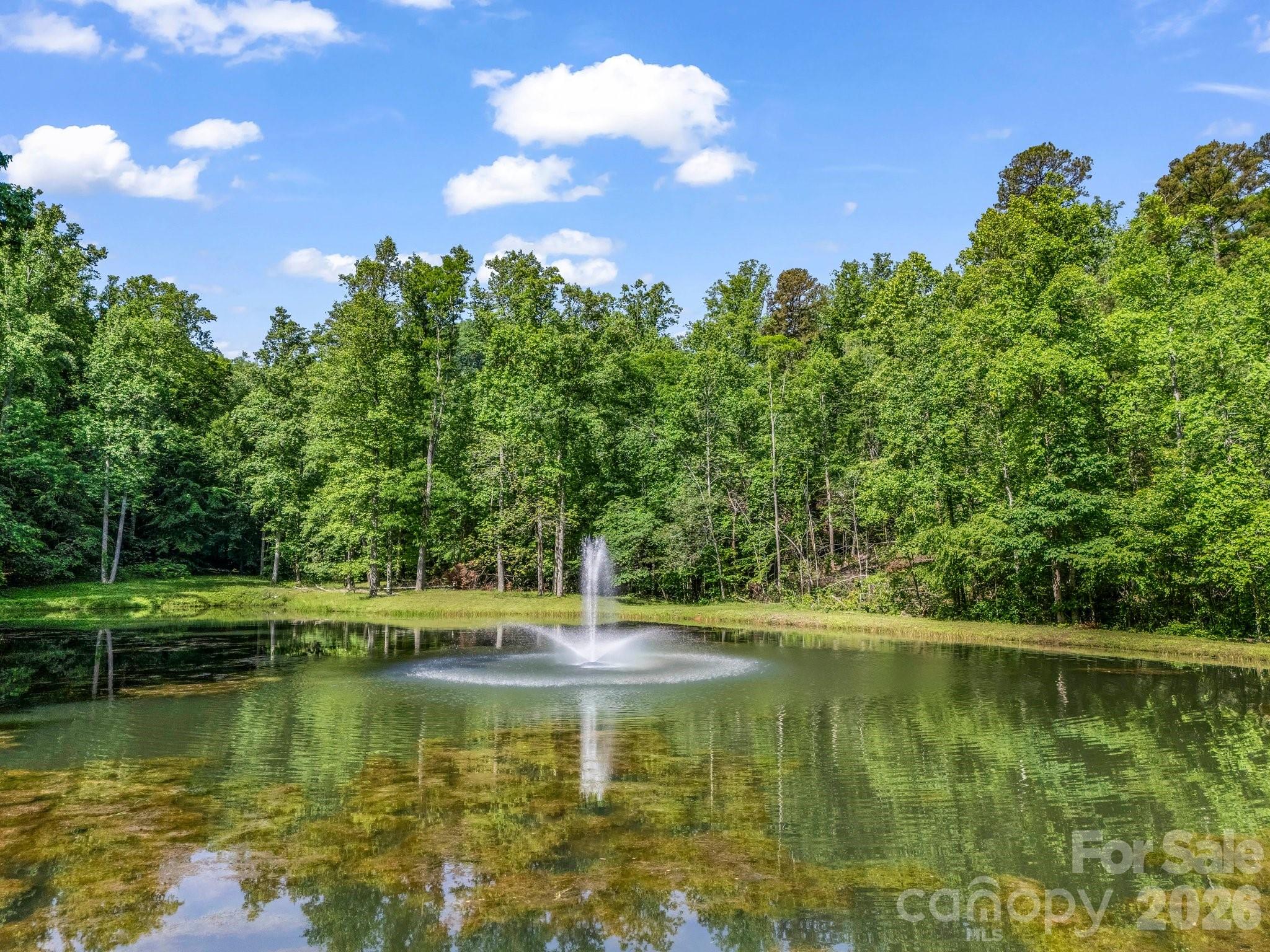 980 Mountain Forest Drive Property Photo 3