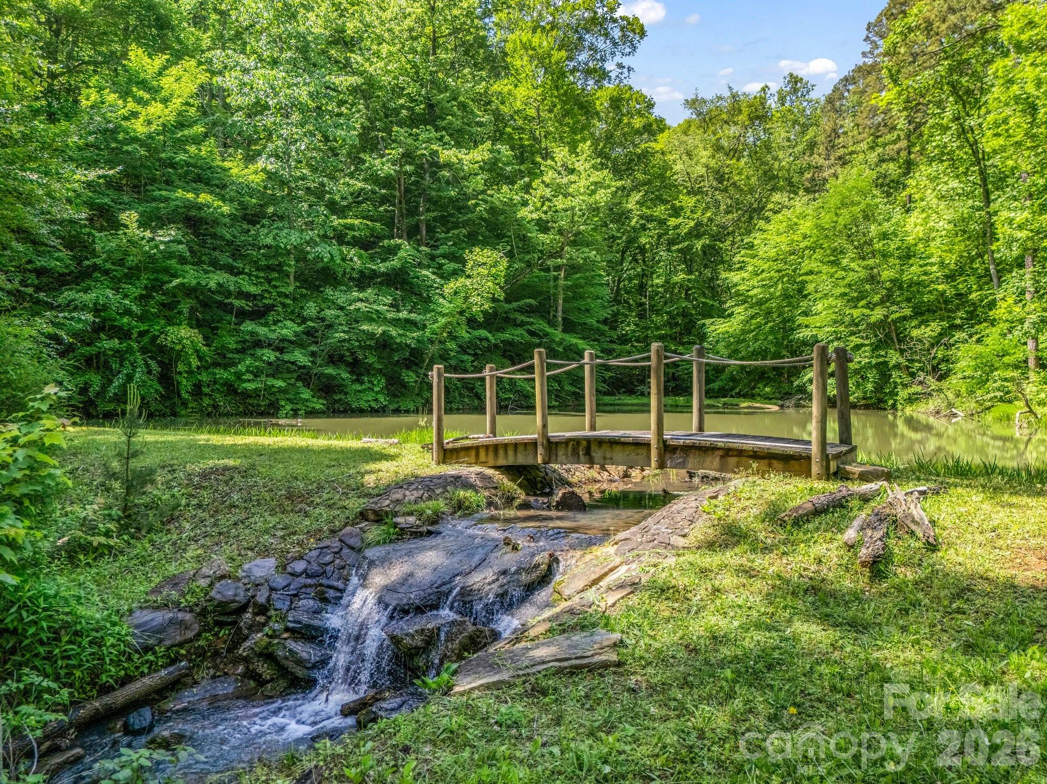 980 Mountain Forest Drive Property Photo 6