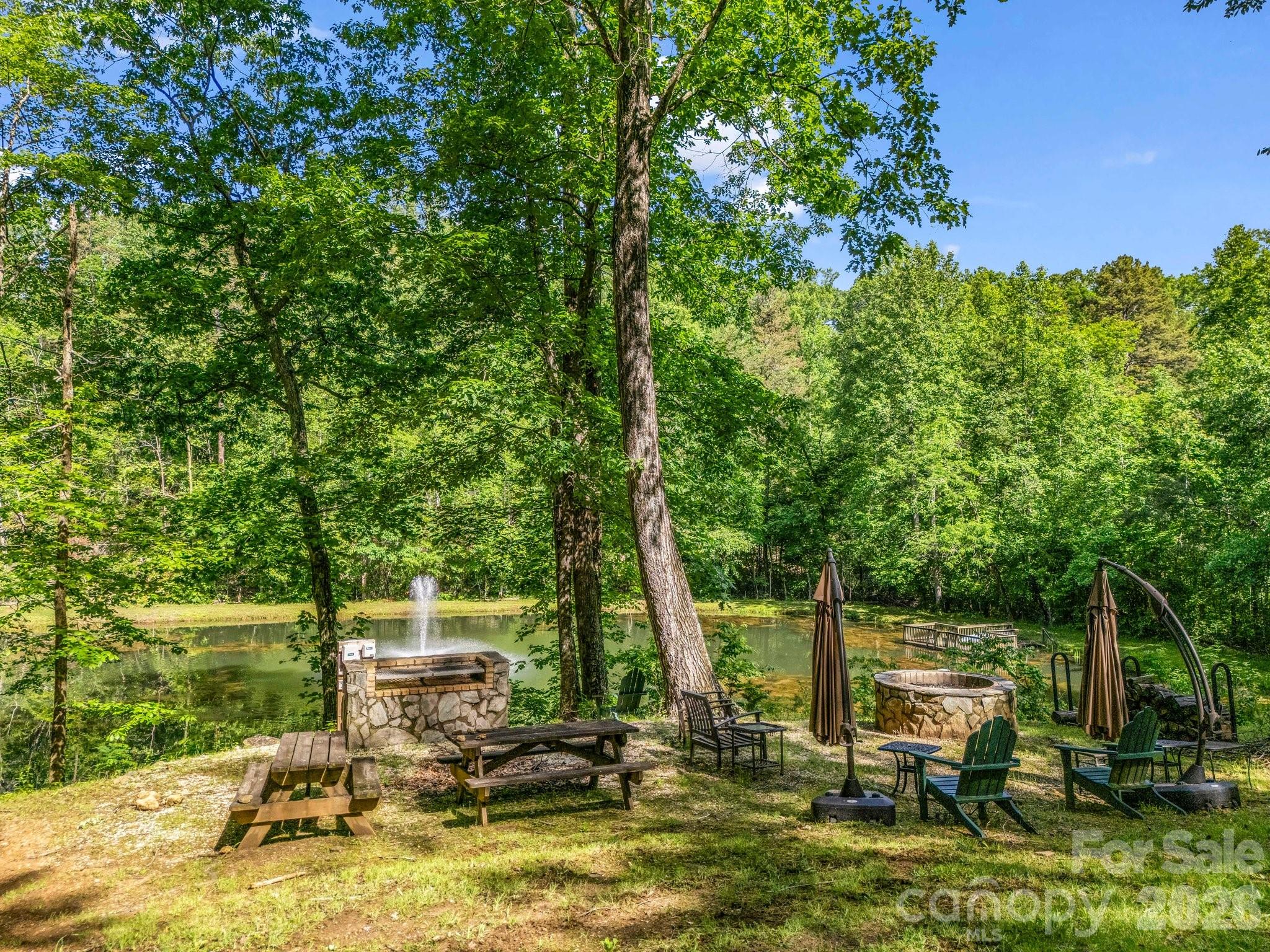 980 Mountain Forest Drive Property Photo 8