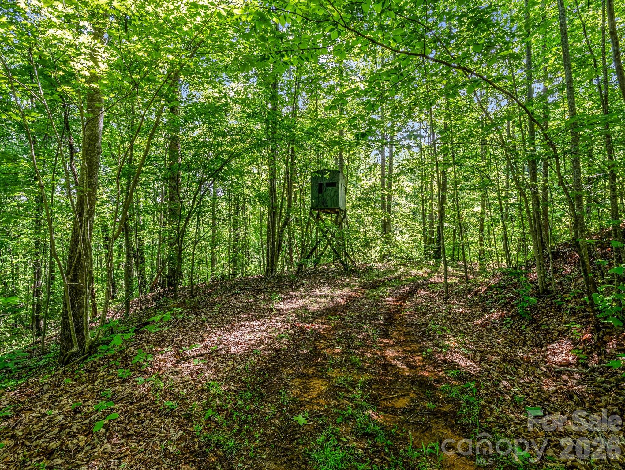 980 Mountain Forest Drive Property Photo 37