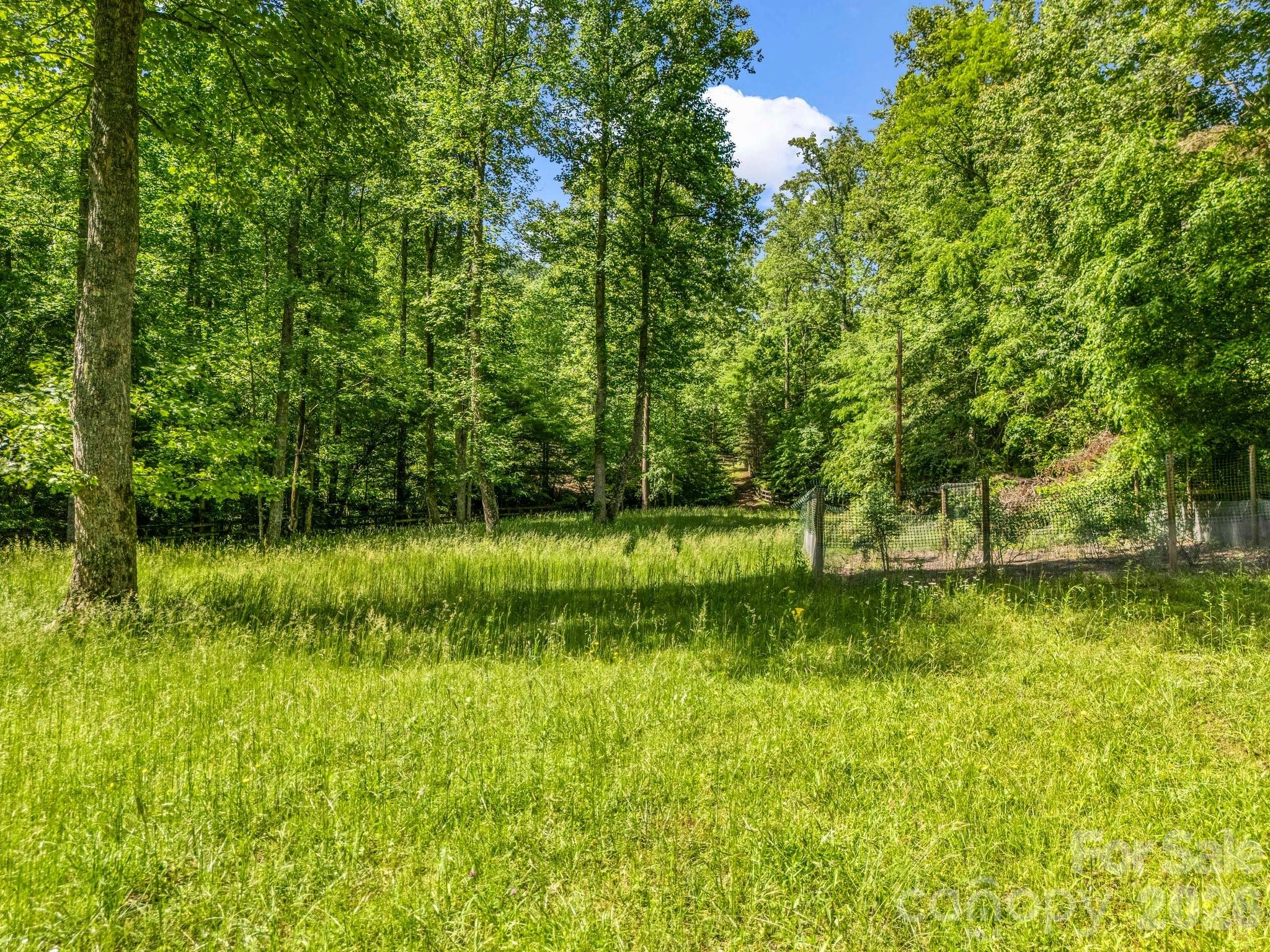 980 Mountain Forest Drive Property Photo 40