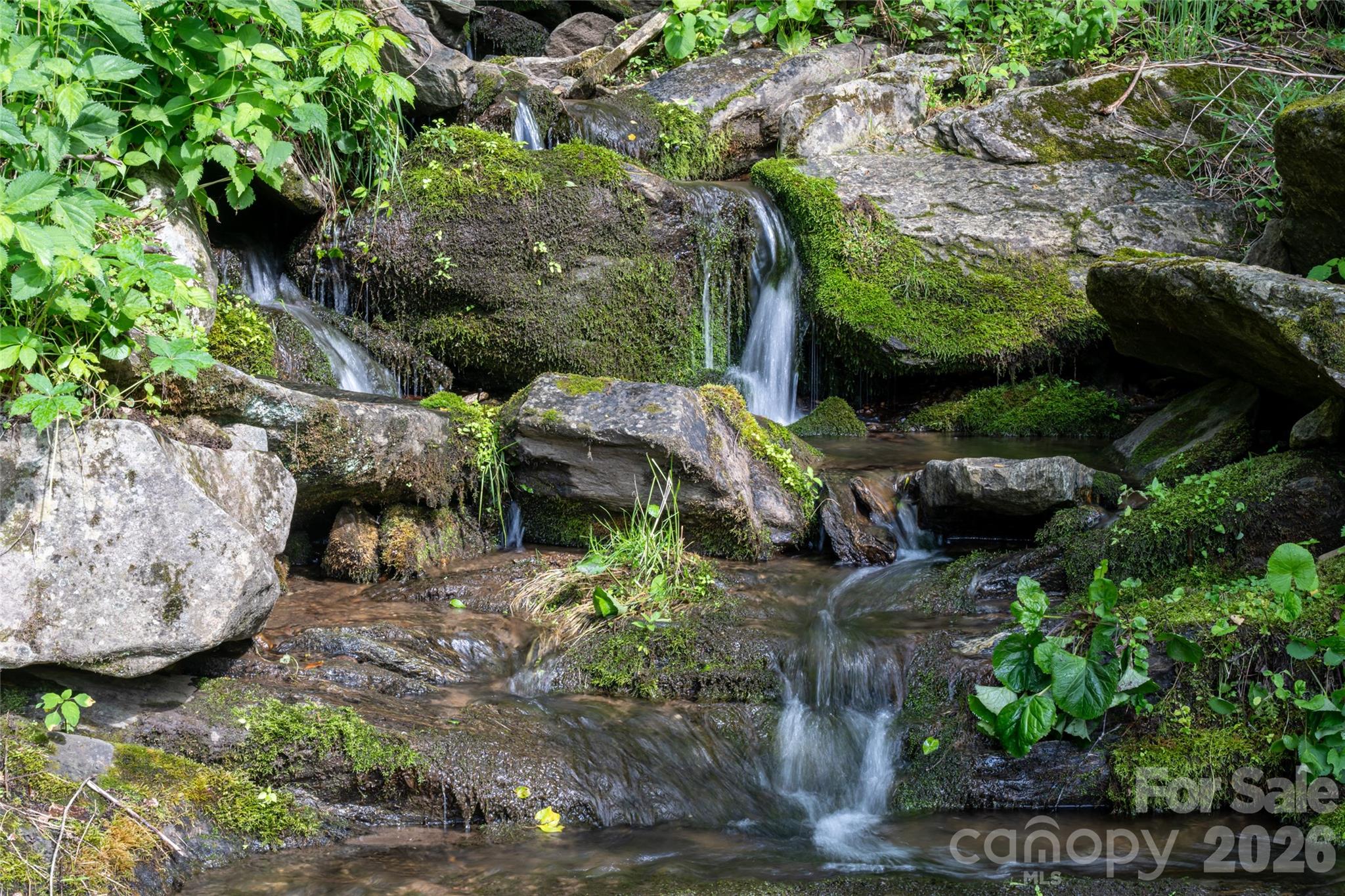 217 Natures Rest Lane Property Photo 45