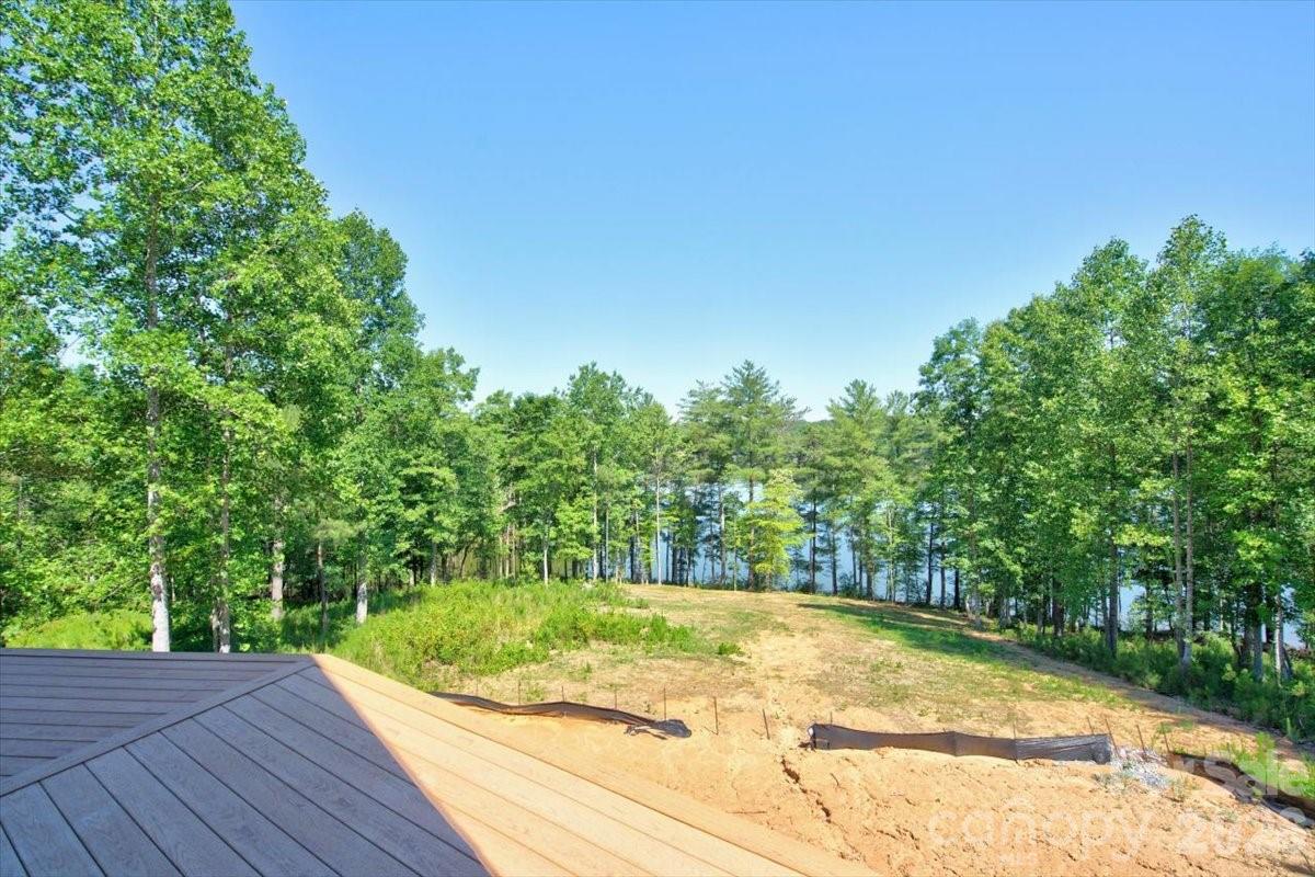 2199 Castle Peak Mountain Property Photo 38