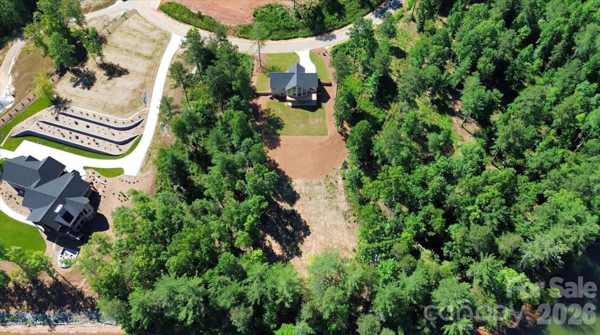 2199 Castle Peak Mountain Property Photo 44