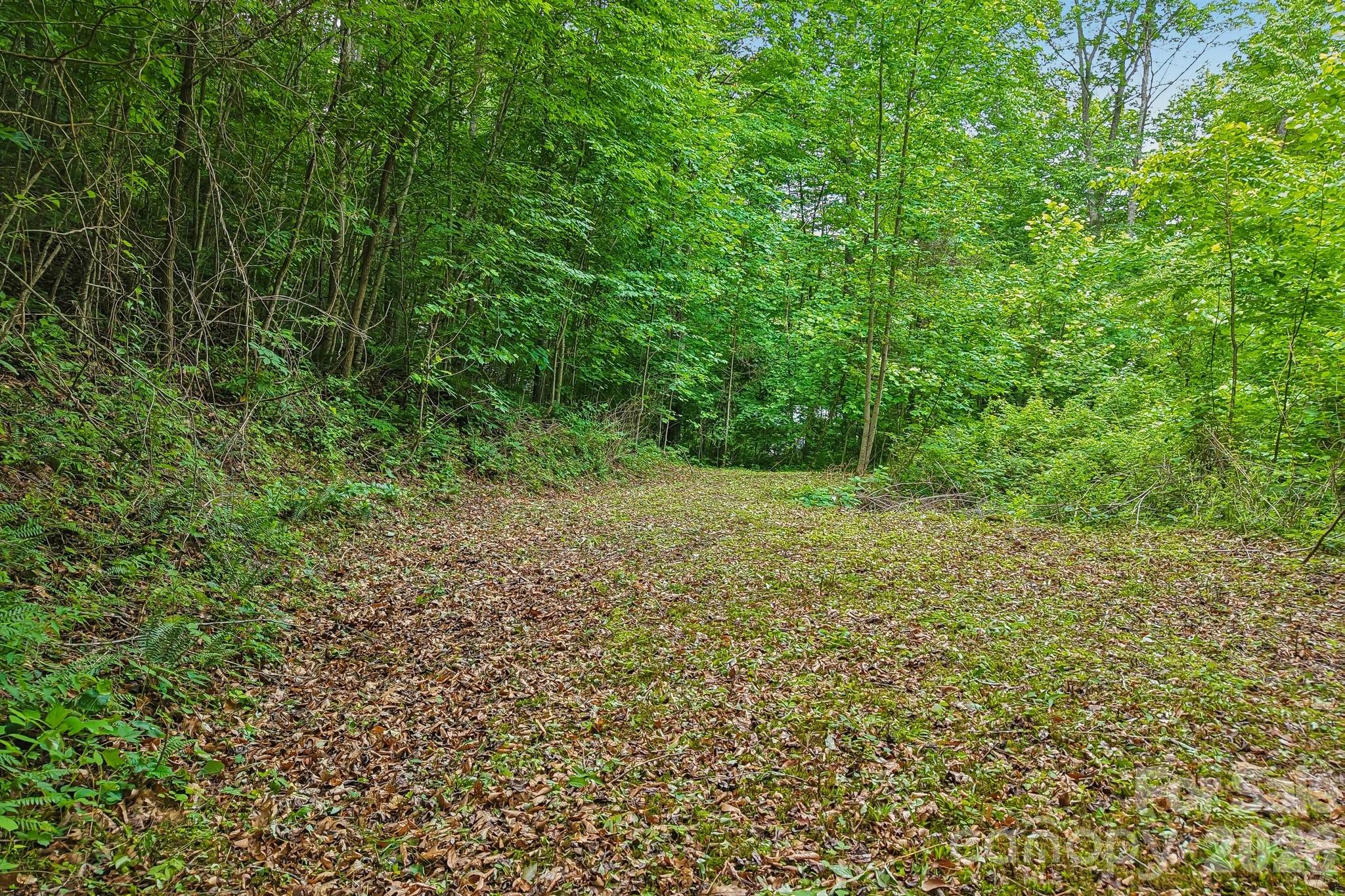 00 Sequoyah Drive Property Photo 1