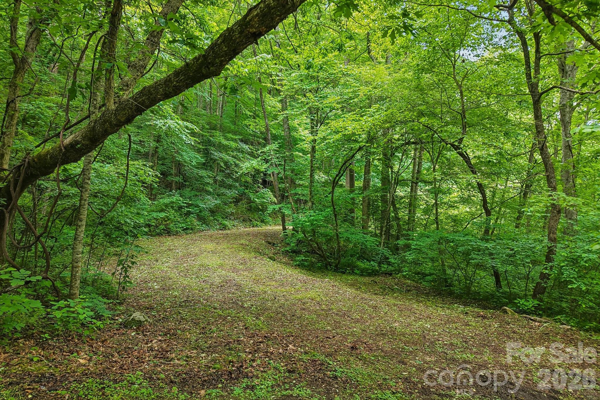 00 Sequoyah Drive Property Photo 2
