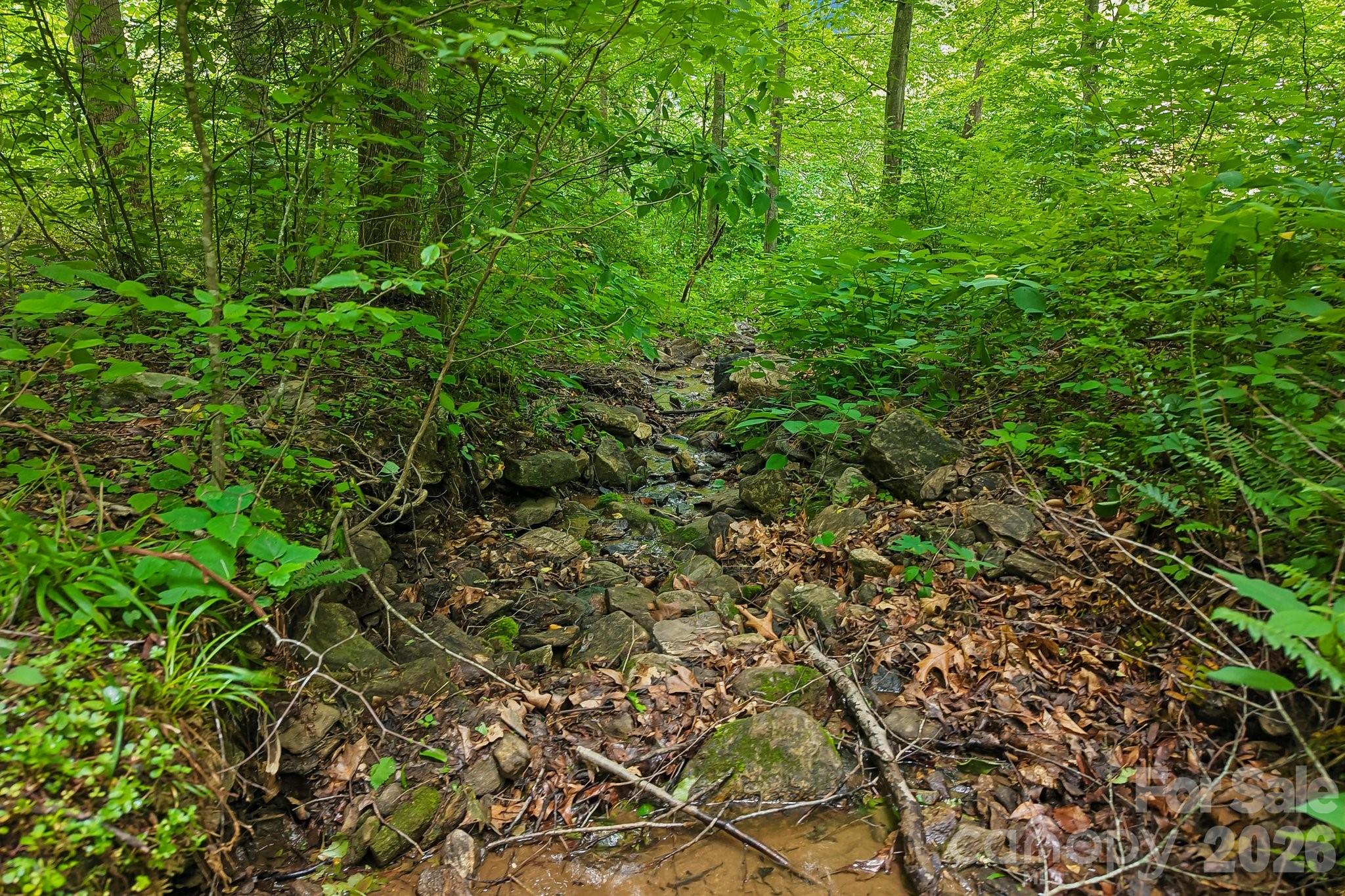 00 Sequoyah Drive Property Photo 3
