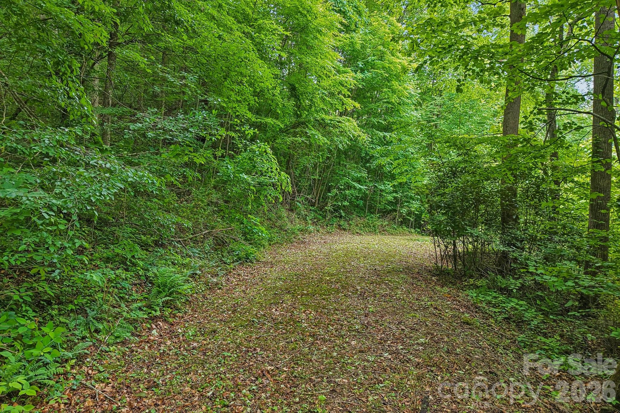 00 Sequoyah Drive Property Photo 4