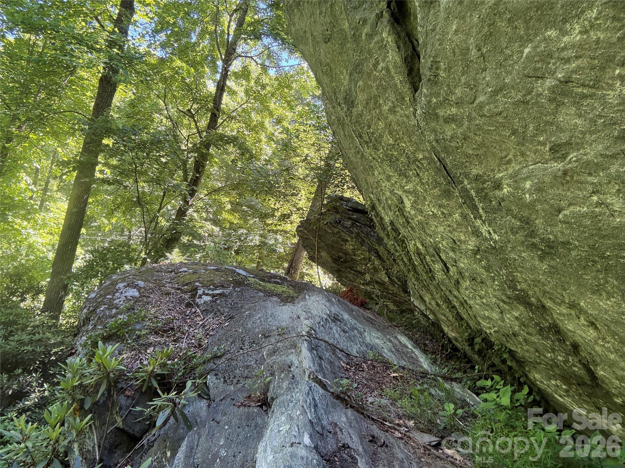 1590 Shulls Mill Road Property Photo 19