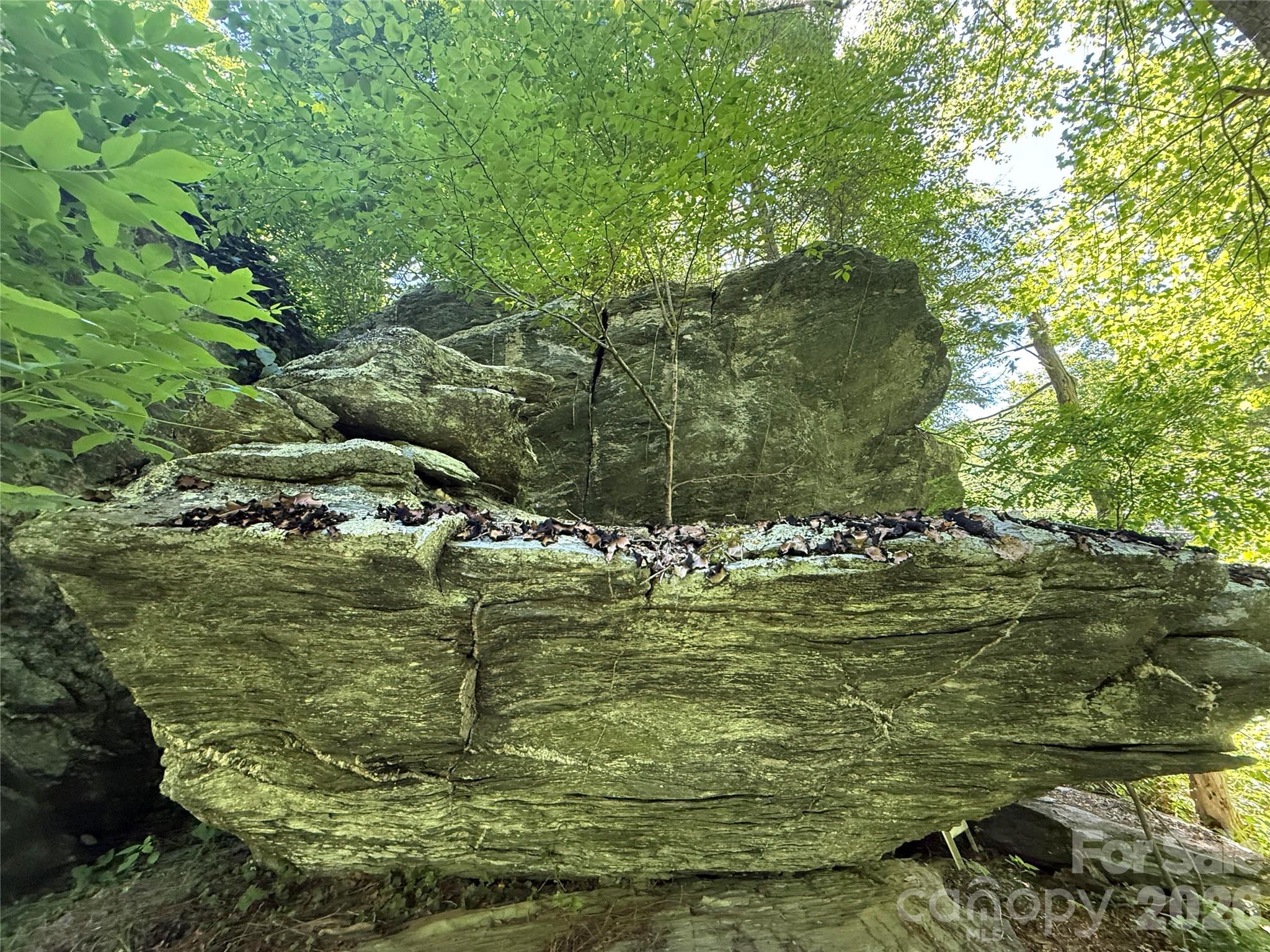 1590 Shulls Mill Road Property Photo 20