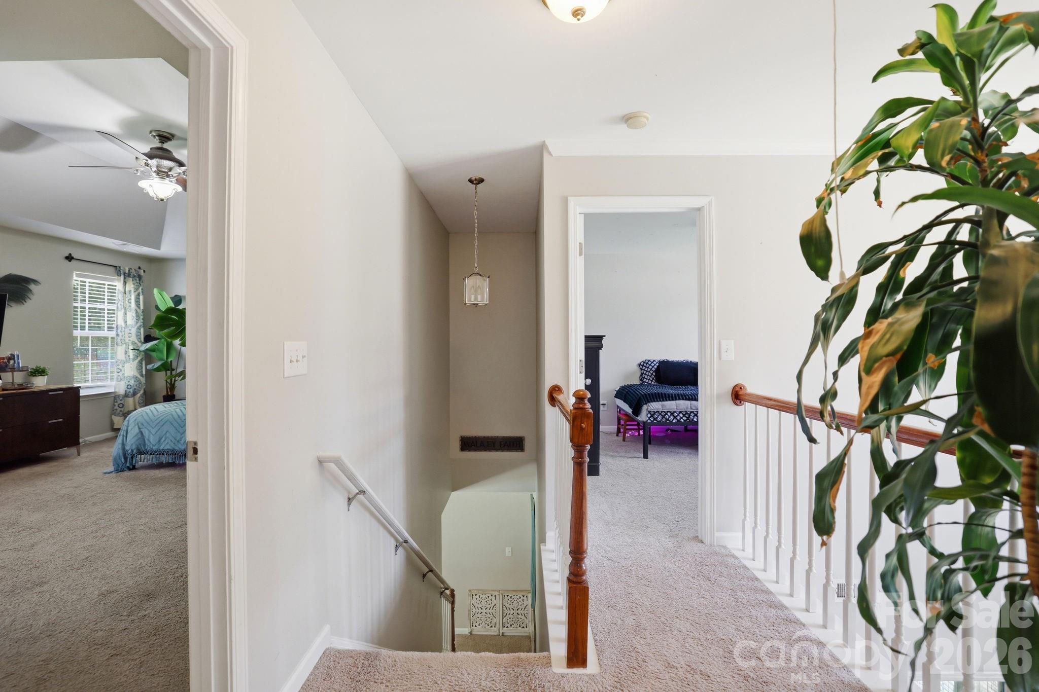 5058 Timber Falls Drive Property Photo 31