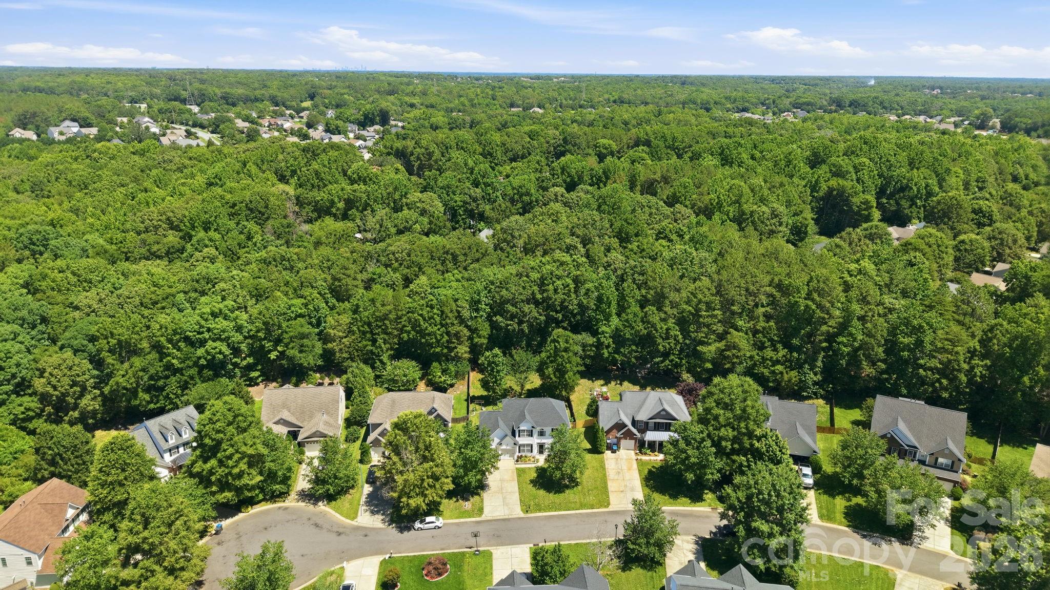 5058 Timber Falls Drive Property Photo 41