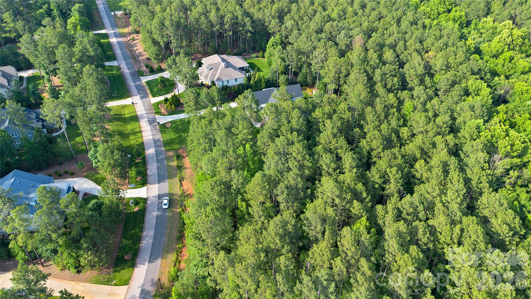 4113 Persimmon Road Property Photo 9
