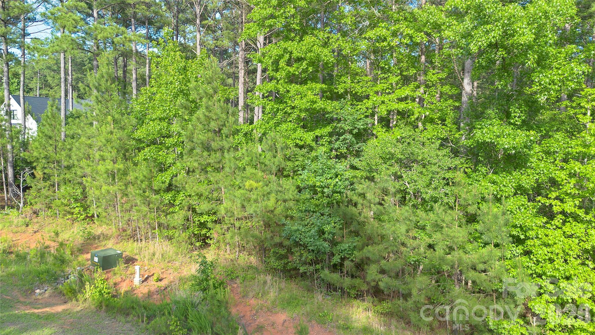 4113 Persimmon Road Property Photo 11