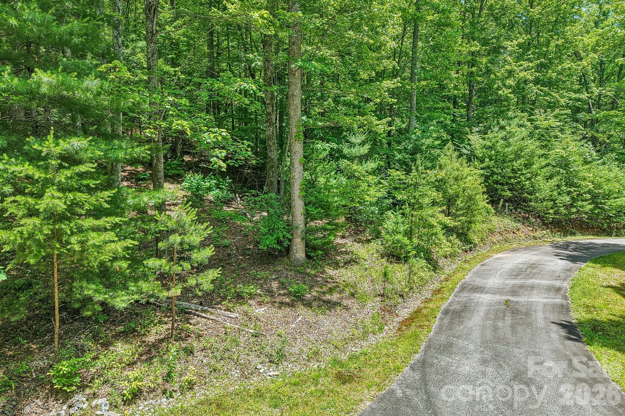 11 Magnolia Branch Drive Property Photo 6