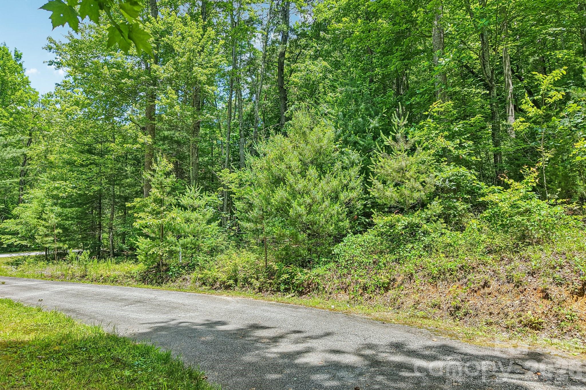 11 Magnolia Branch Drive Property Photo 7