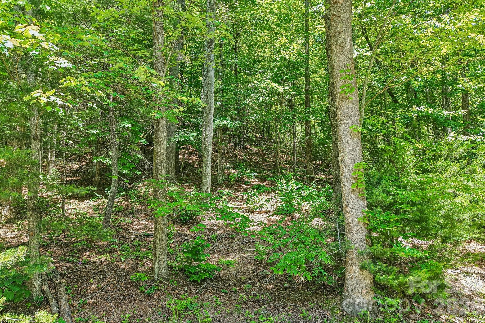 11 Magnolia Branch Drive Property Photo 9