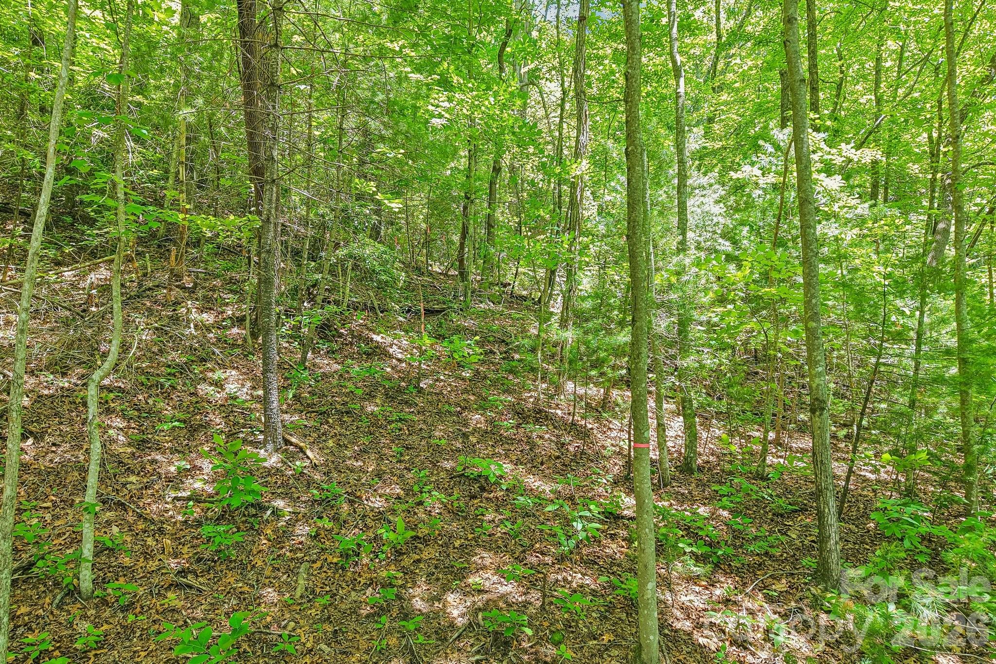 11 Magnolia Branch Drive Property Photo 10