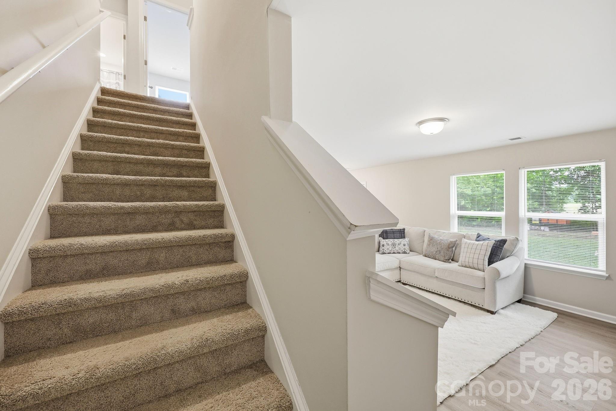 132 Billy Goat Court Property Photo 20