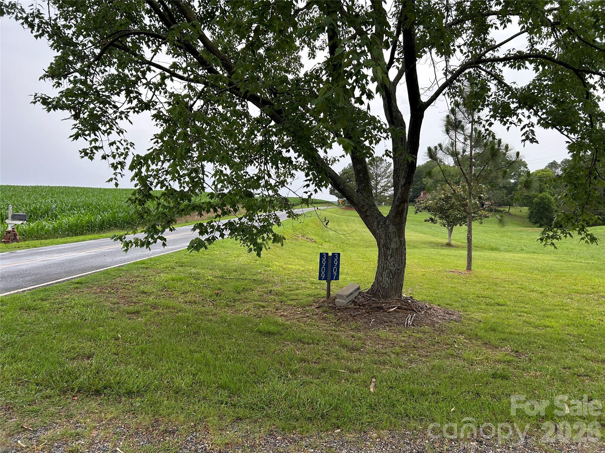 3909 Wightman Church Road Property Photo 34