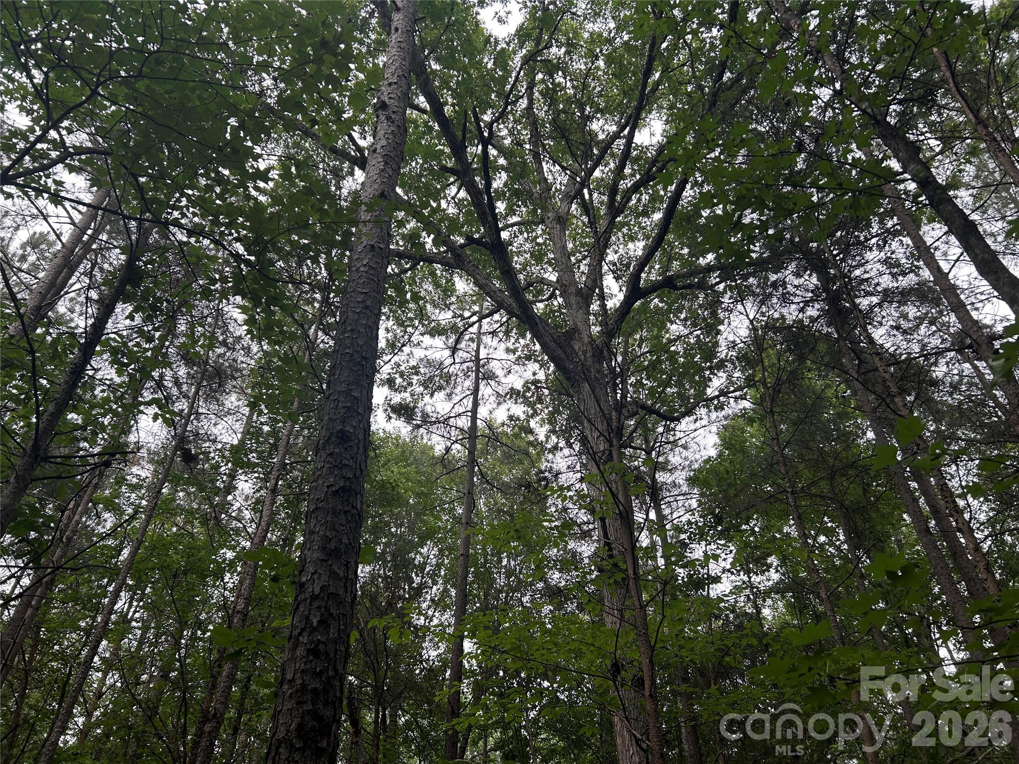 3909 Wightman Church Road Property Photo 43