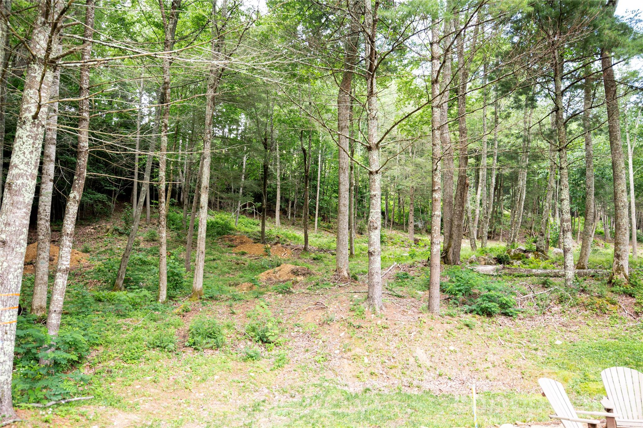 Wr 29 Sierra Trail 29 Property Photo 26