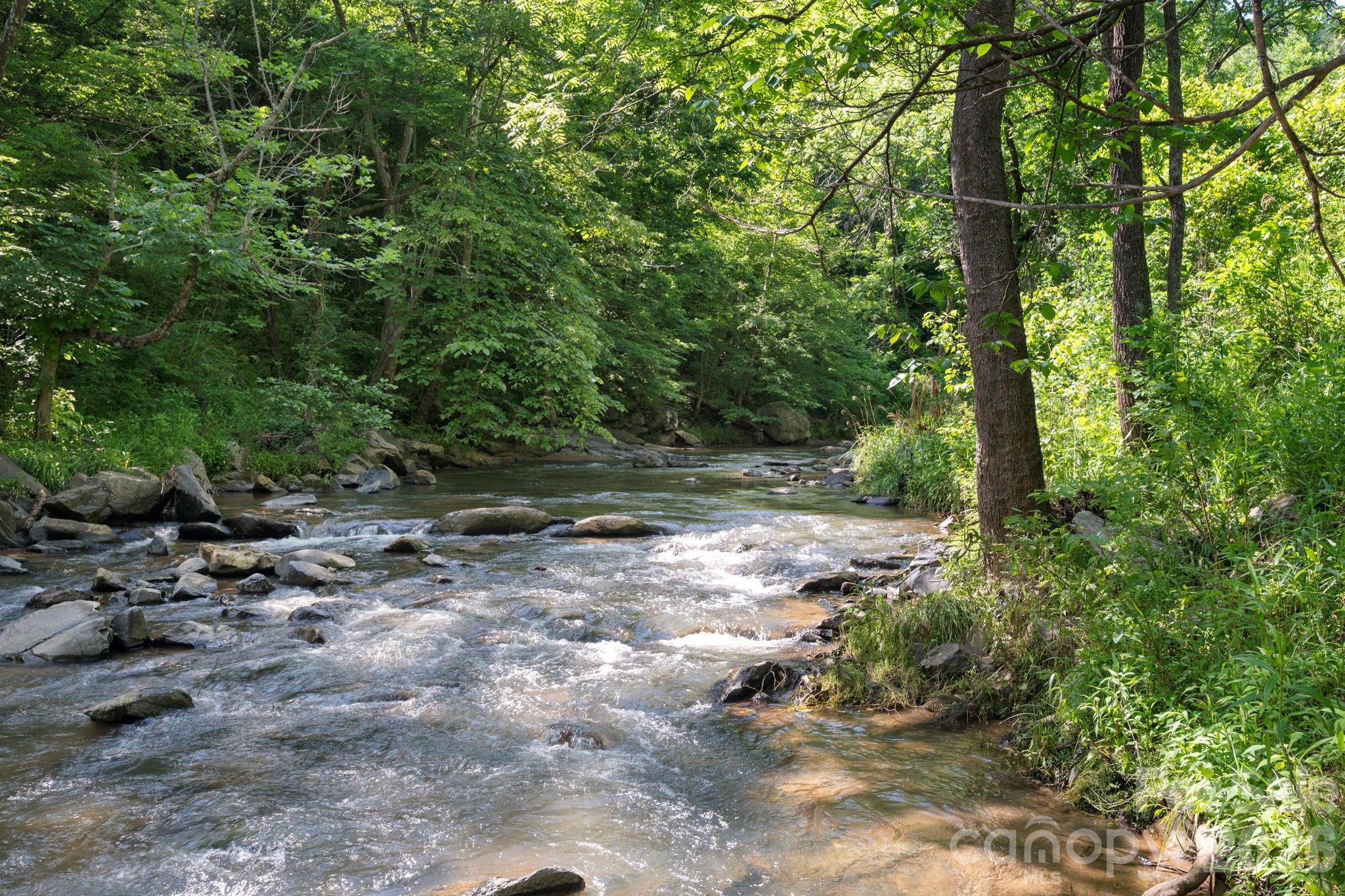 2896 Old Mars Hill Highway Property Photo 29