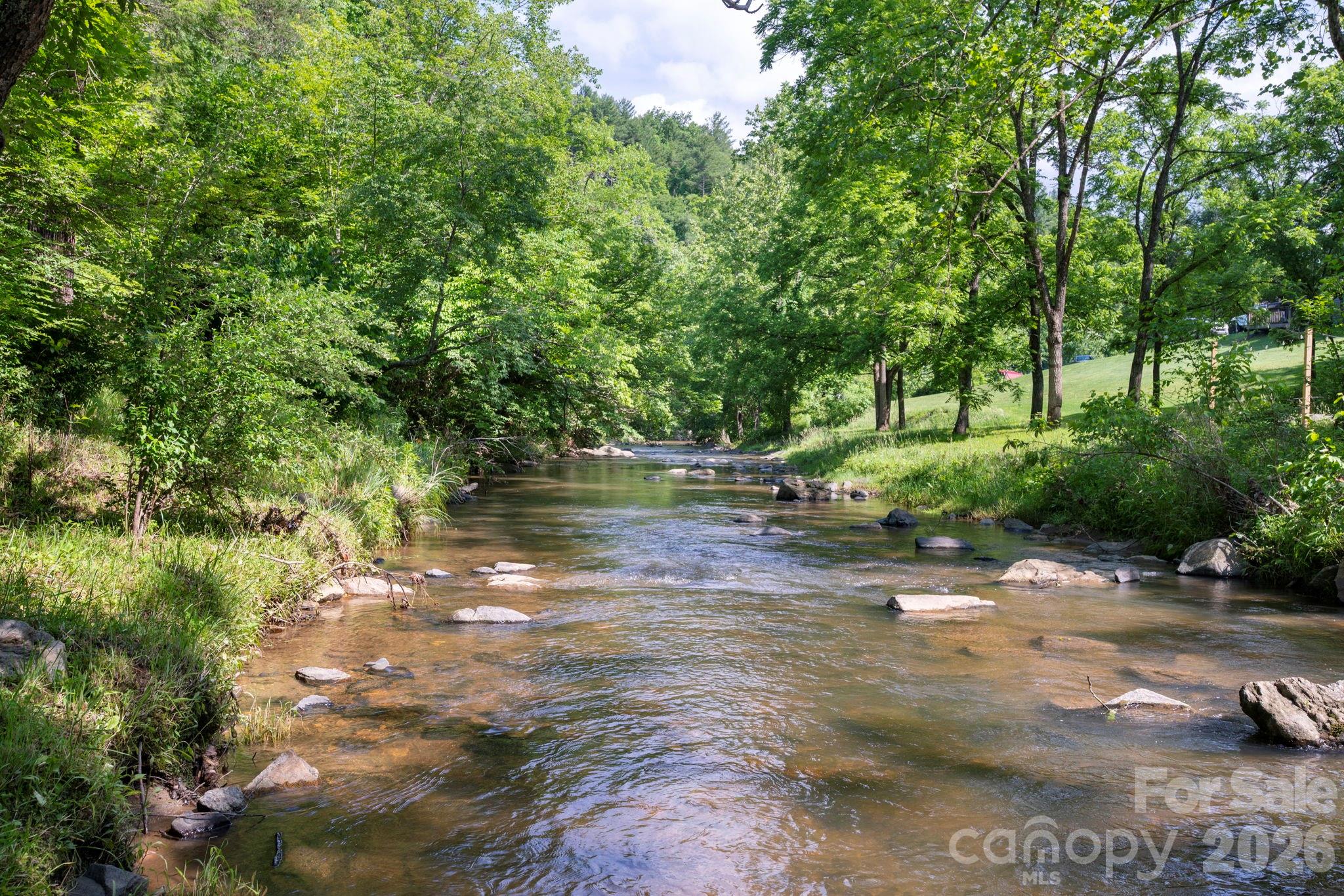 2896 Old Mars Hill Highway Property Photo 30
