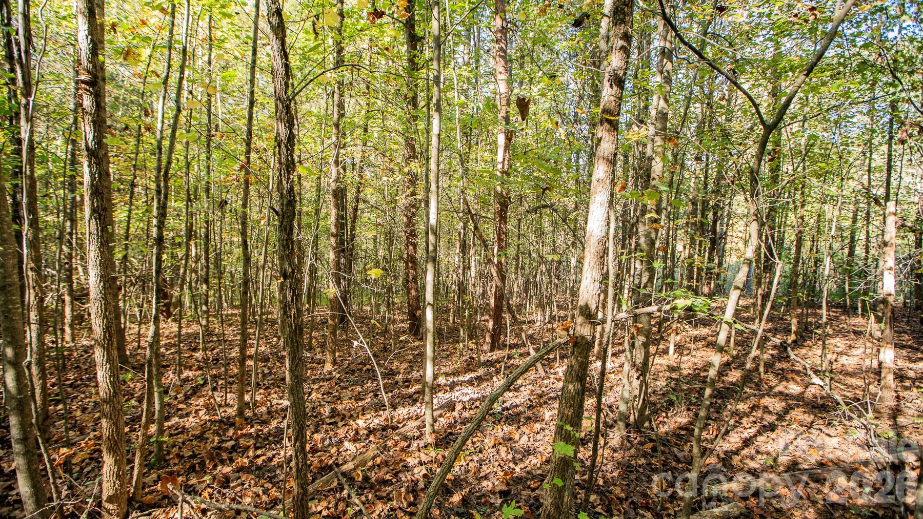 000 Industrial Park Road Property Photo 15