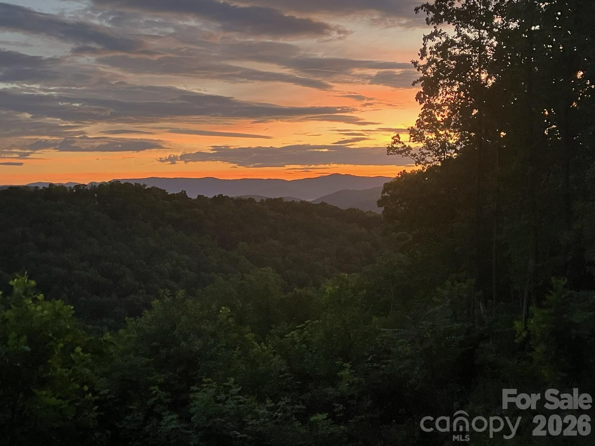 1300 Towery Trace Property Photo 18