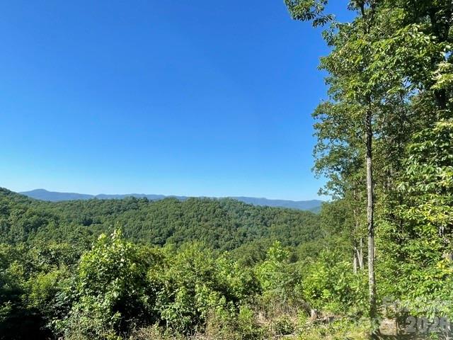 1300 Towery Trace Property Photo 20
