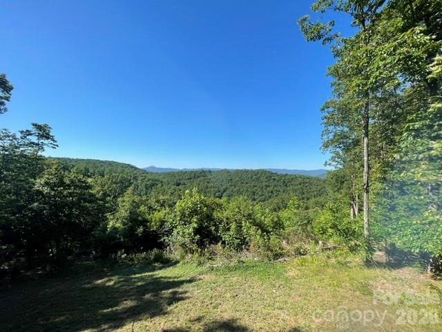 1300 Towery Trace Property Photo 35