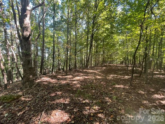 1300 Towery Trace Property Photo 36