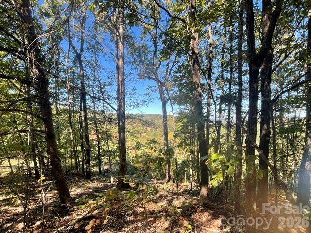 1300 Towery Trace Property Photo 37