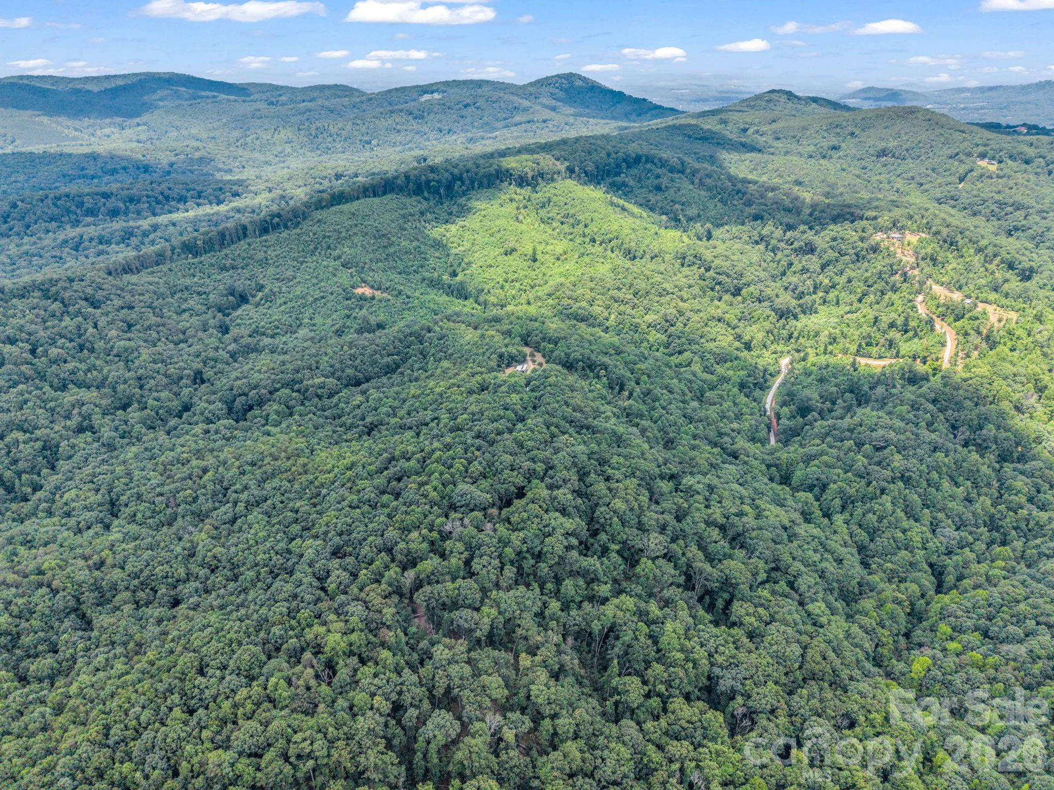 1300 Towery Trace Property Photo 38