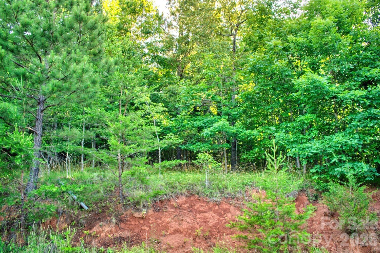 0 Cross Creek Drive 68 Property Photo 3