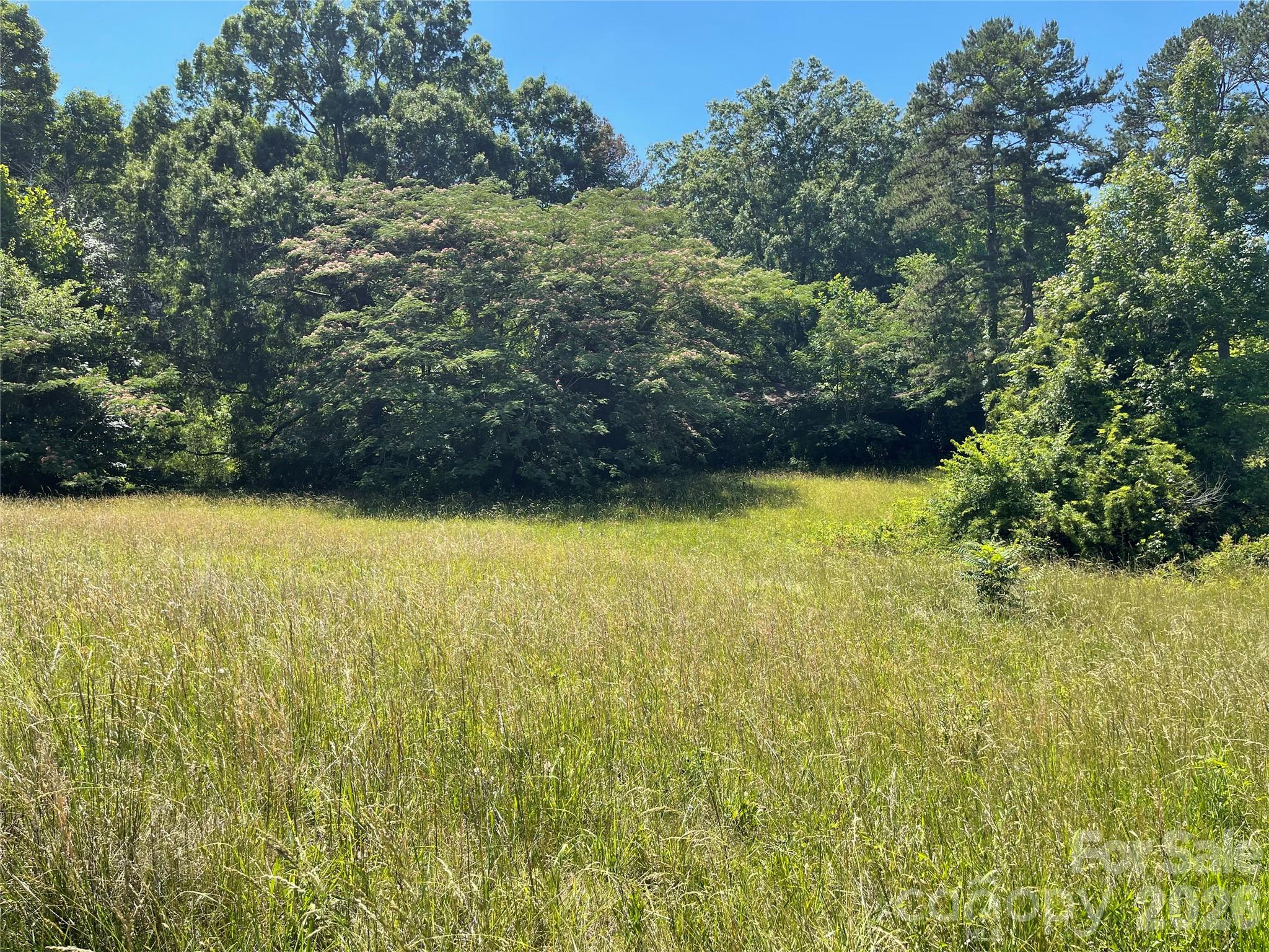 1310 WHITE Street Property Photo 1