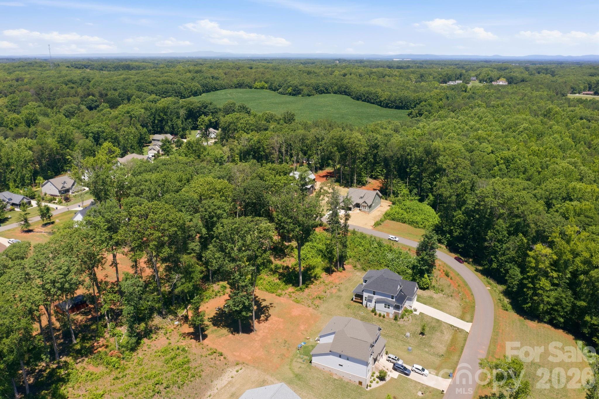 3180 Timber Run Lane Property Photo 13