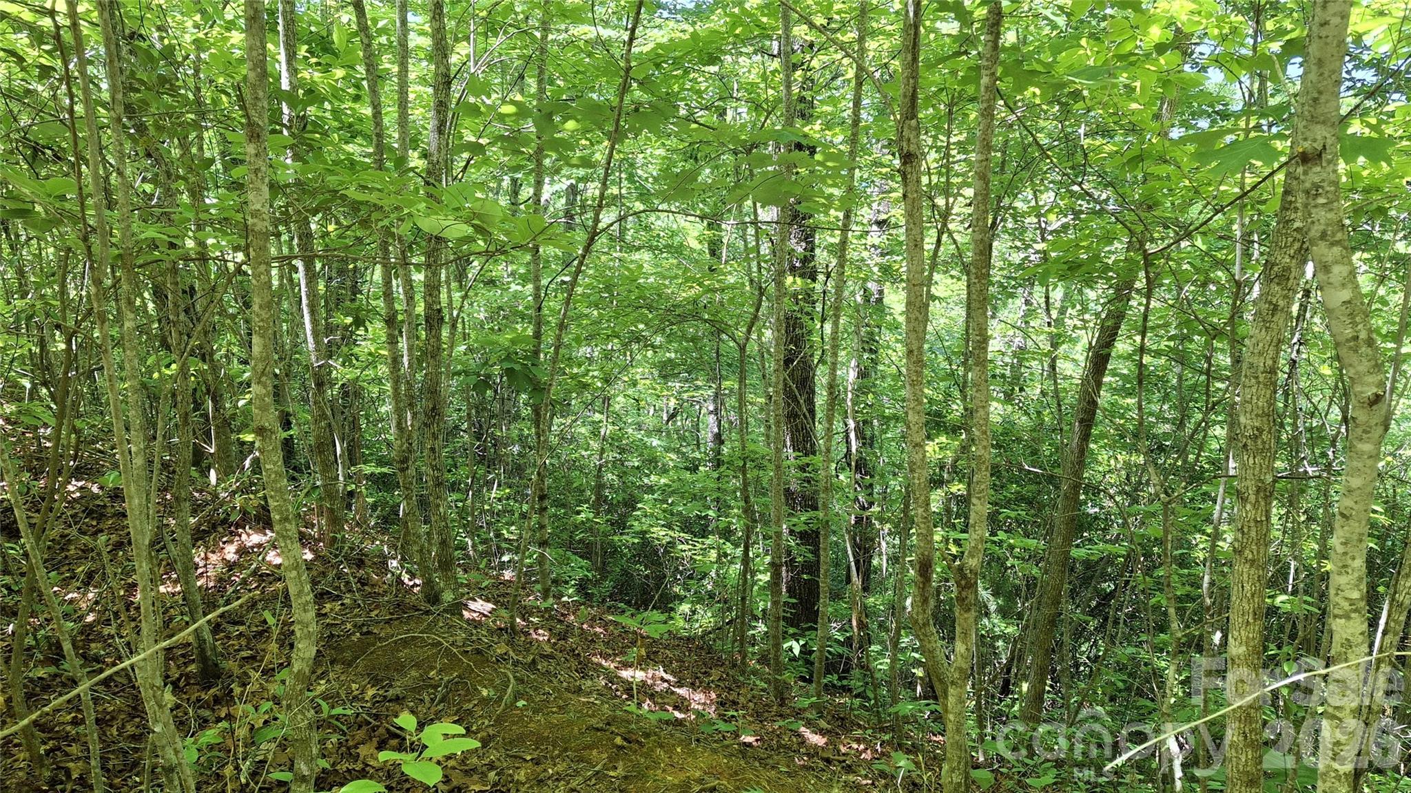 272 Kako Ridge 64 Property Photo 13