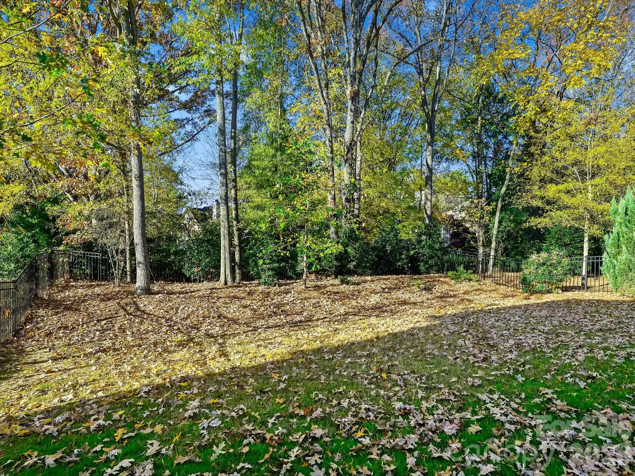 13105 Kornegy Drive Property Photo 31